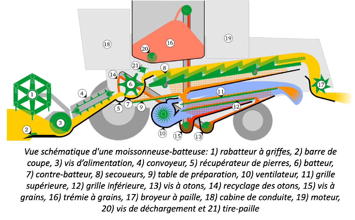 Dimensions Moissonneuse LA MOISSONNEUSE-BATTEUSE - AOUSTE A COEUR